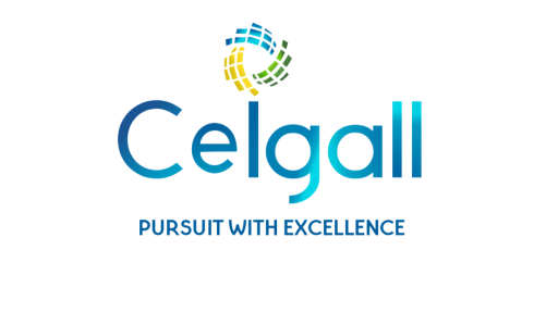 Ceigall India Limited IPO (Ceigall India IPO) Detail